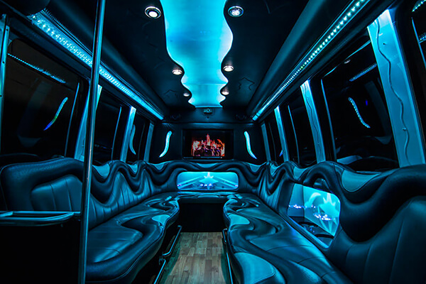 interior of 14 passenger party bus