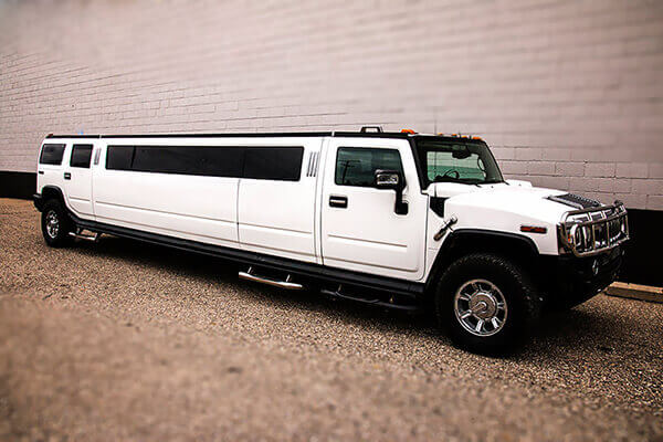 new orleans limousine