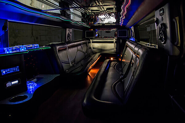 leather limo seats